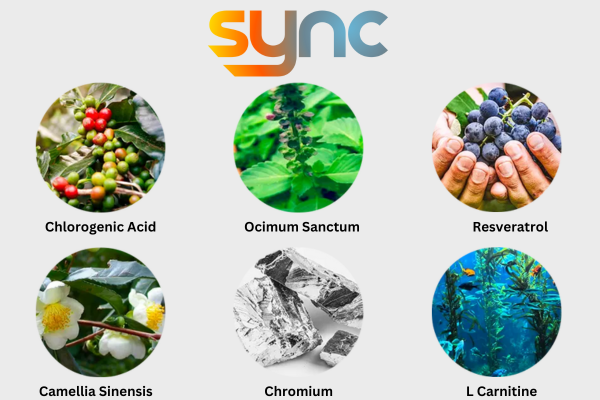 Sync Sunlight Loophole Ingredients