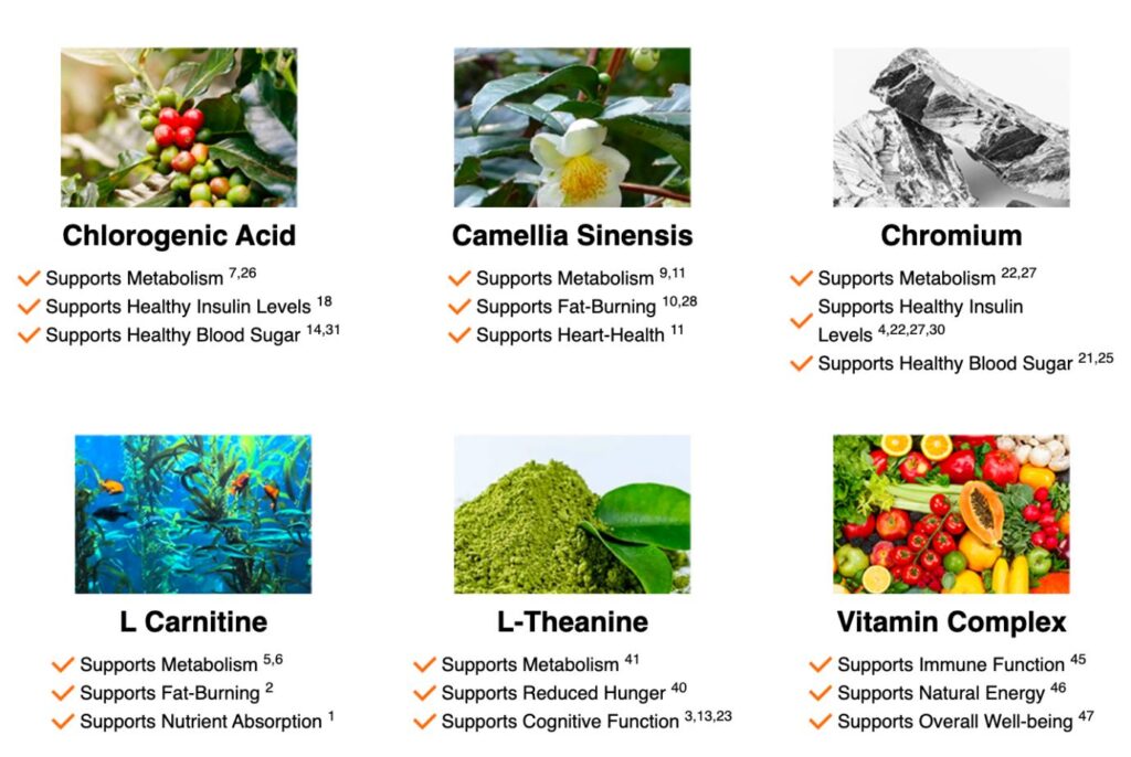 java-burn-ingredients